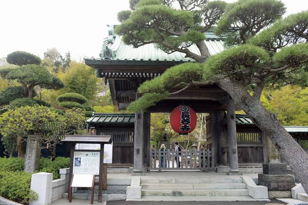 Kamakura ・ Hase-dera Temple (about 1380m ・ 18-minute walk)