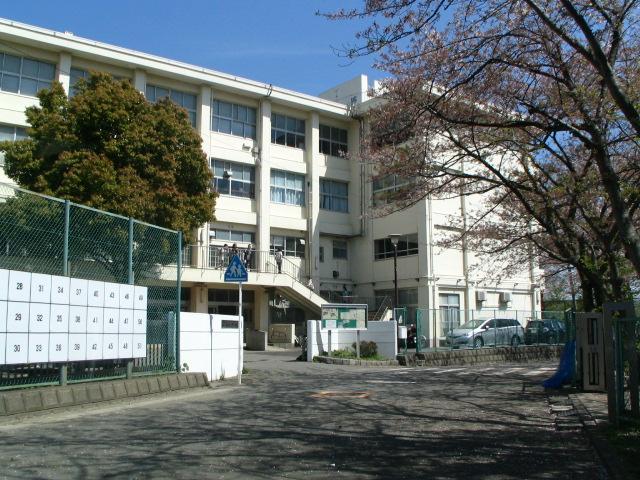 Junior high school. Tamanawa junior high school