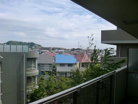 View. View from the living room side balcony