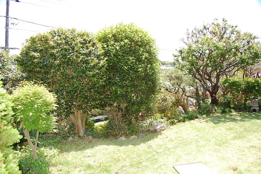 Garden. You can enjoy the four seasons of trees!