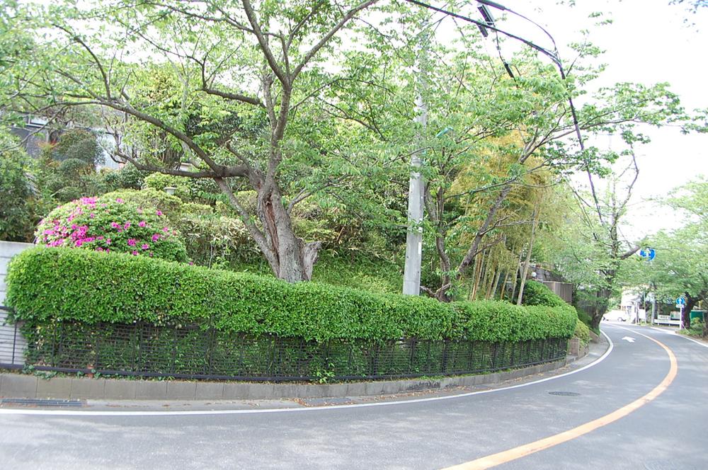 Local photos, including front road. Facing the cherry tree road local! There Yoshino cherry tree is this 3!