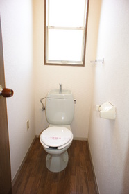 Toilet. Toilet