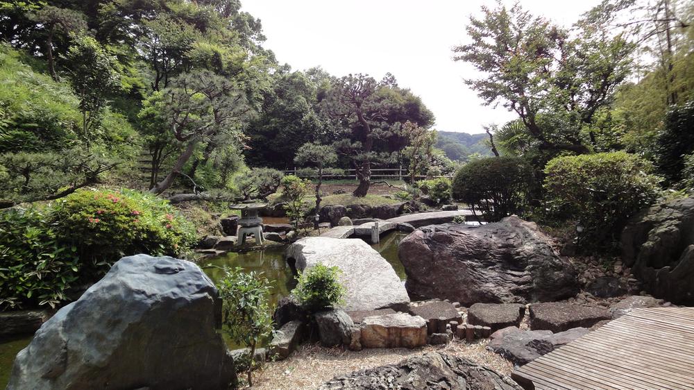 Garden. Japanese garden