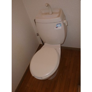 Toilet. Toilet