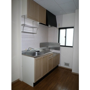 Kitchen. Gas stove is installed type of kitchen