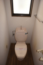 Toilet. Toilet