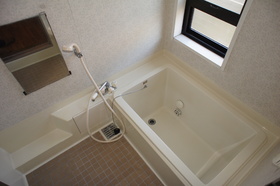 Bath. Bathroom