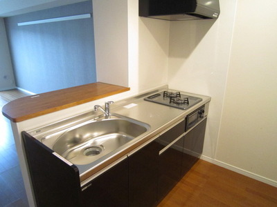 Kitchen. 2-burner stove with a system Kitchen. (Current state priority)