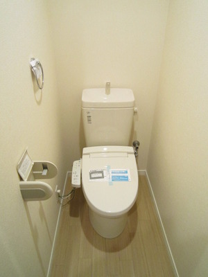 Toilet. (Current state priority)