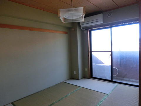 Other room space. Japanese style room