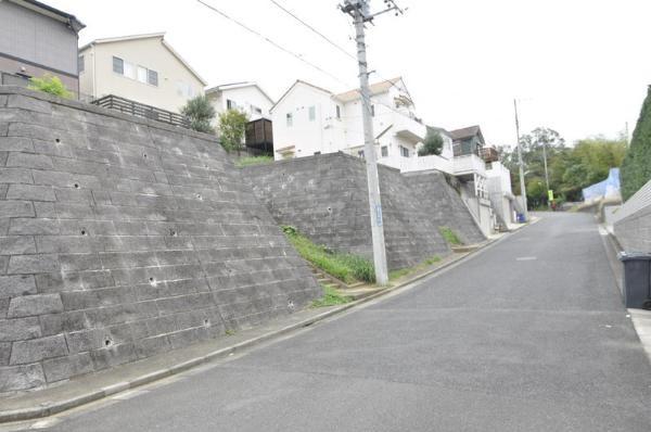 Local photos, including front road. Frontal road