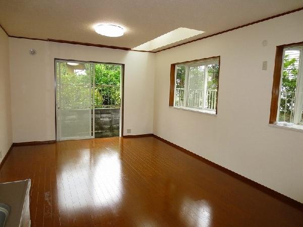 Living. Detached interior introspection Pictures - with top light on the living room ceiling.