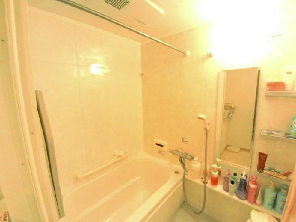 Bathroom. With bathroom dryer