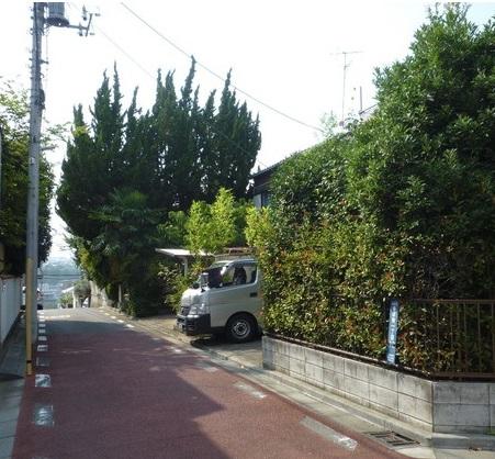 Local photos, including front road
