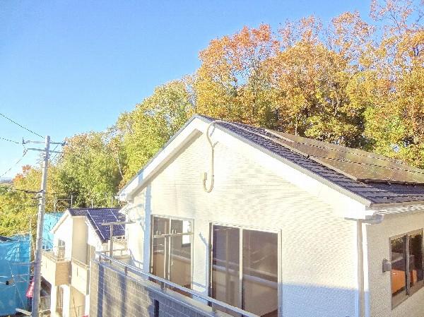 Local appearance photo. Eco house of solar panels with. 