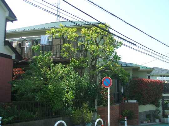 Local appearance photo. Appearance (1)
