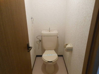 Toilet. Toilet