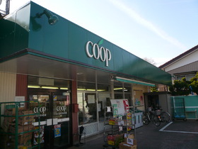 Supermarket. COOP until the (super) 520m