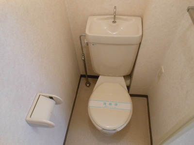 Toilet. Toilet