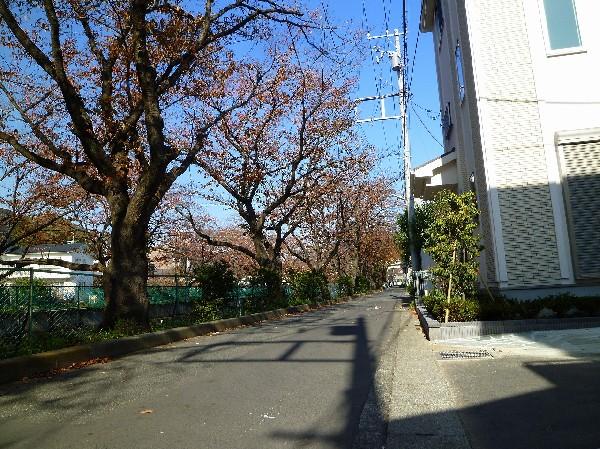 Streets around. Frontal road