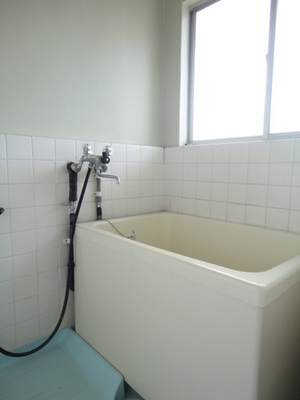 Bath. Easy bright bathroom also ventilation with windows