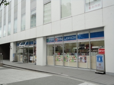 Convenience store. 800m until Lawson (convenience store)