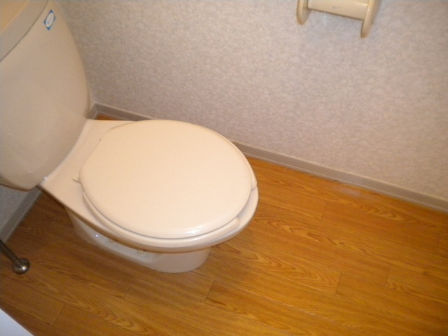 Toilet. Toilet space ☆