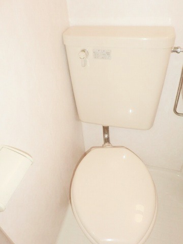 Toilet. Toilet