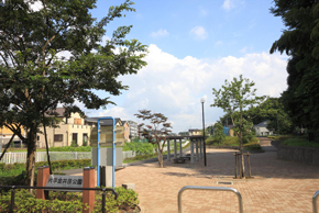 park. Playing with 290m children to gold Ihara park, Catch the ball or can park.