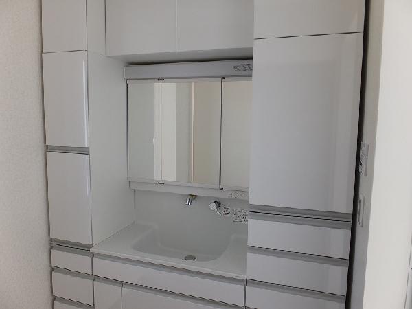 Wash basin, toilet. Storage rich vanity