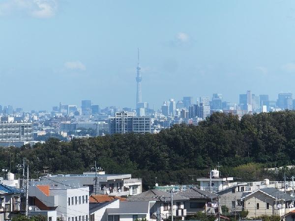 Other local. Views Sky tree than local.
