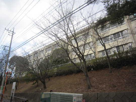 Other. Swan junior high school 18 mins (about 1400m)