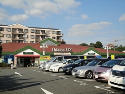 Supermarket. 620m to Odakyu OX (super)