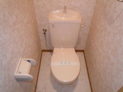 Toilet. Toilet