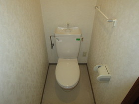 Toilet. The same type room photo