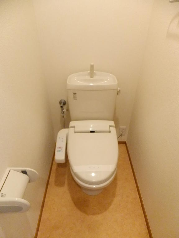 Toilet. Washlet with function