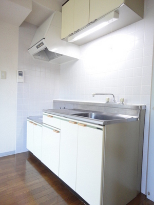 Kitchen. Two-burner gas stove installation allowed for the economic city gas.