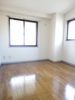Living and room. Because the two-sided lighting is at any time bright space