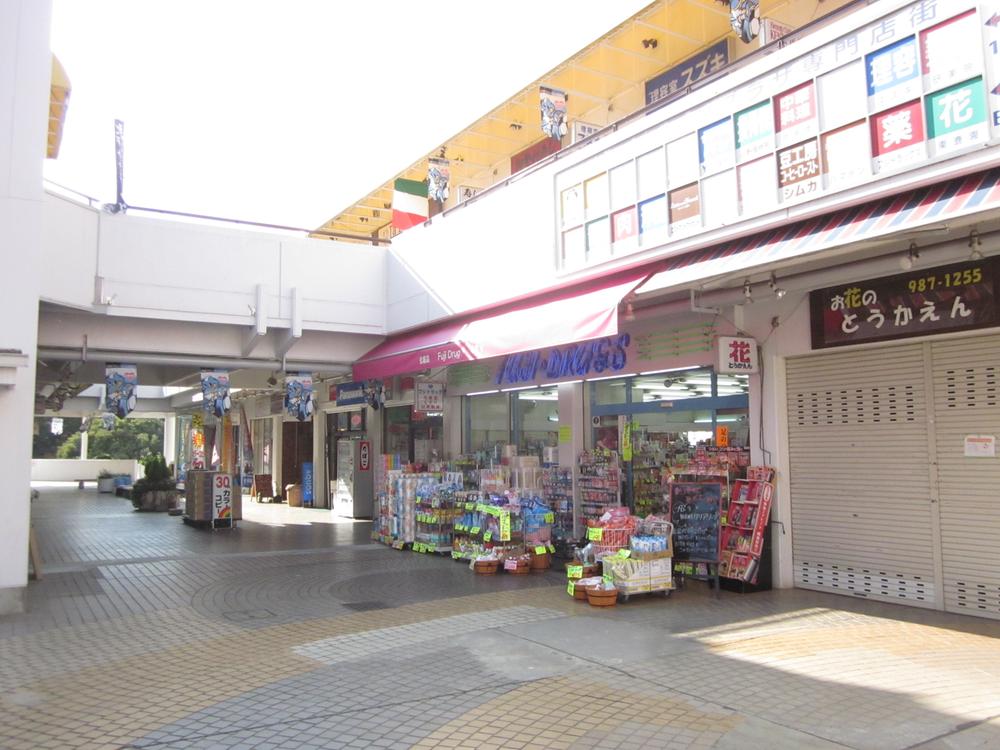 Other common areas. Green Plaza mall