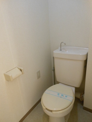 Toilet. Toilet