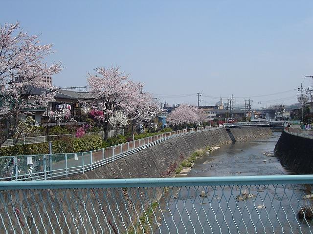 Other Environmental Photo. To 1000m spring to Tsurumi Tsurumi the cherry blossoms bloom in beautiful. Located in the way to the station. 