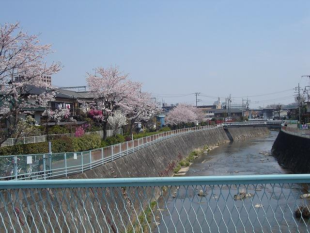 Other Environmental Photo. To 1000m spring to Tsurumi Tsurumi the cherry blossoms bloom in beautiful. Located in the way to the station.