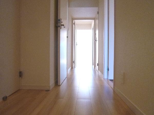 Other introspection. Corridor