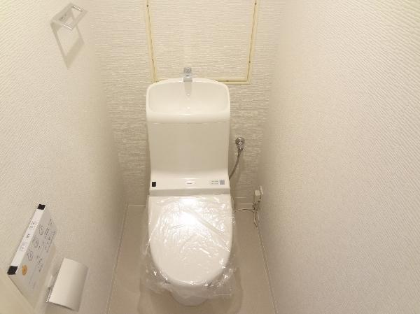 Toilet. Toilet