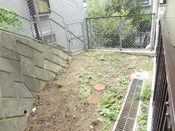 Garden. Dedicated the garden
