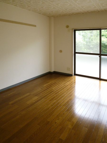 Other room space. Of bright flooring Western-style