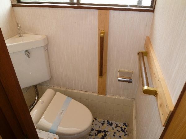 Toilet. A shower feature. 