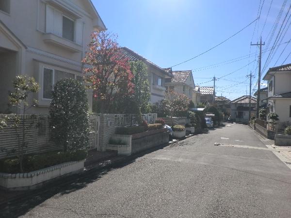 Local photos, including front road. Frontal road