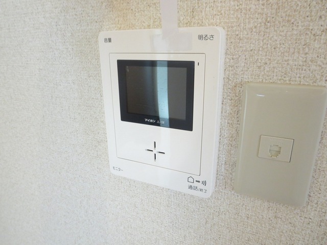 Security. Monitor with intercom