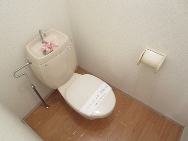 Toilet. Toilet